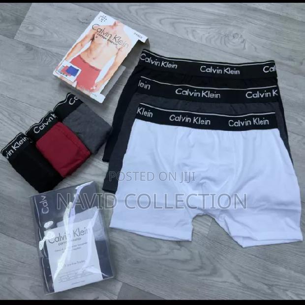 Quality Boxers - thumbnail 2