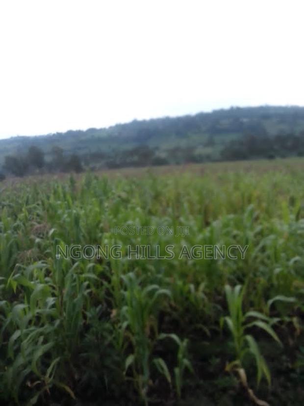 Prime 7-Acre Agricultural Land for Sale | Kamuyu Village, Burnt Forest