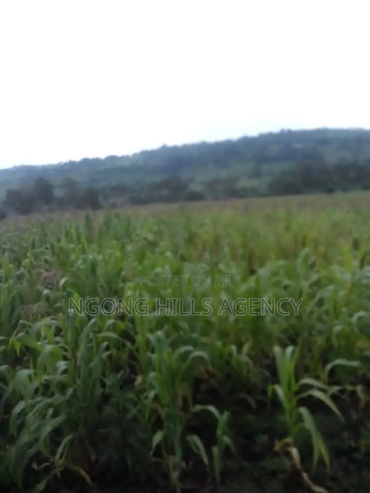 Prime 7-Acre Agricultural Land for Sale | Kamuyu Village, Burnt Forest