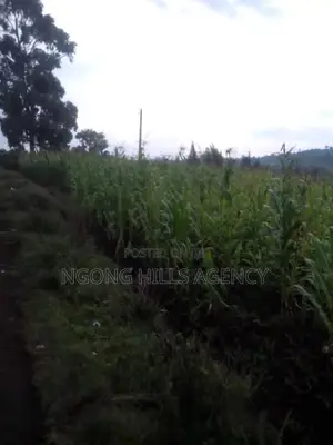 Prime 7-Acre Agricultural Land for Sale | Kamuyu Village, Burnt Forest