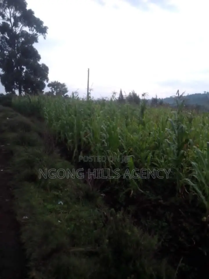 Prime 7-Acre Agricultural Land for Sale | Kamuyu Village, Burnt Forest