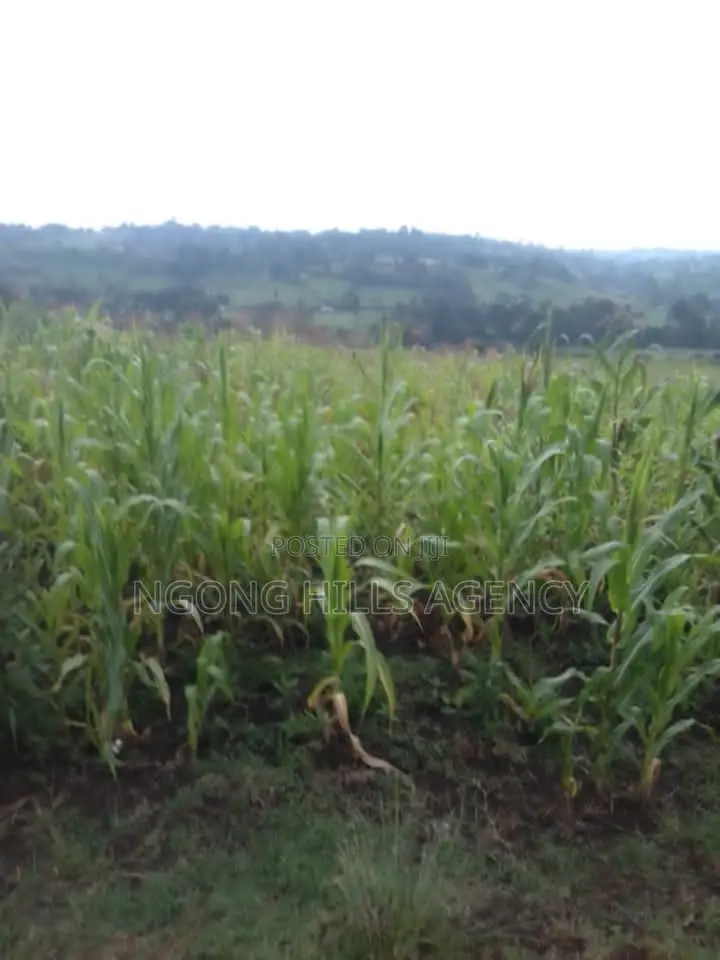 Prime 7-Acre Agricultural Land for Sale | Kamuyu Village, Burnt Forest