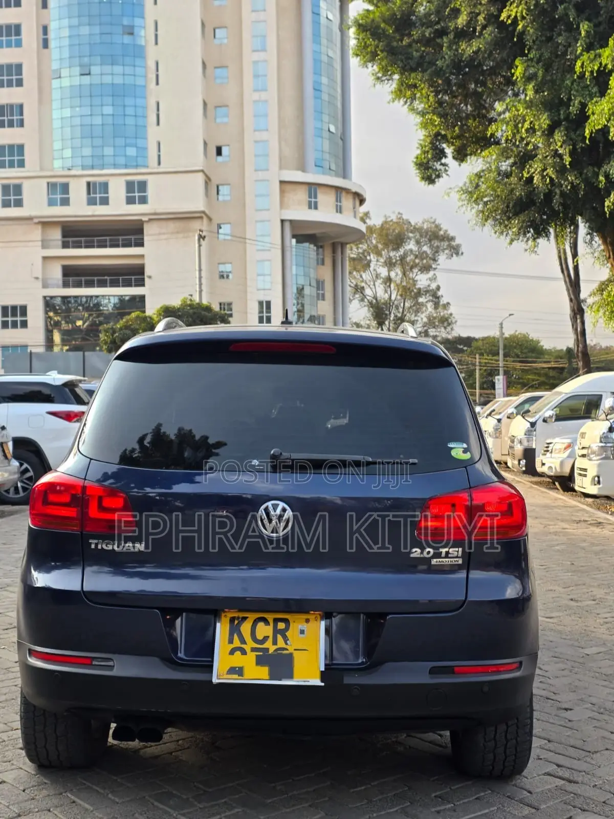 Volkswagen Tiguan 2010 Blue