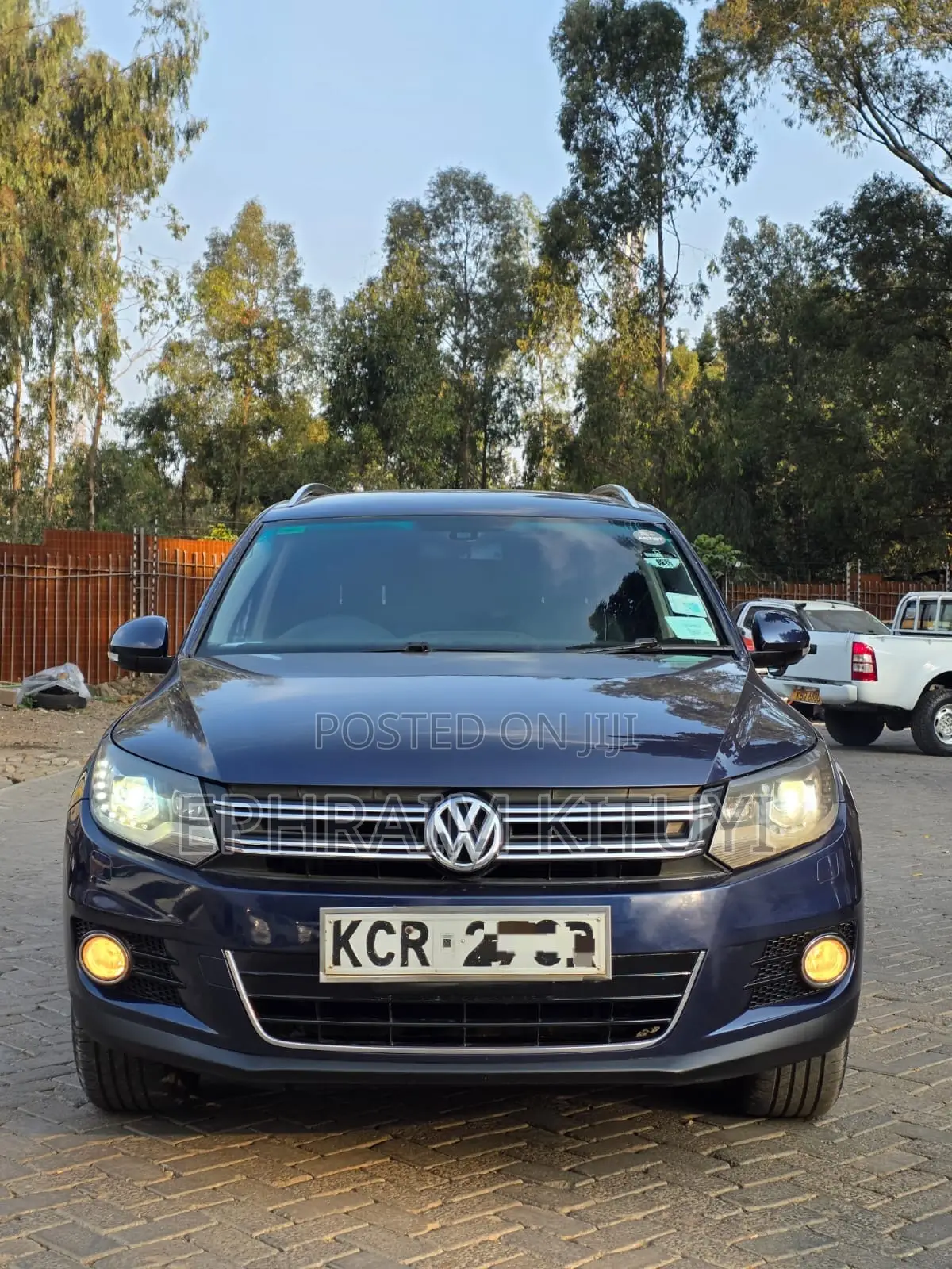 Volkswagen Tiguan 2010 Blue