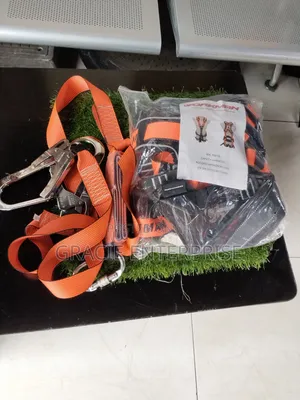 Personal Fall Arrest System, Safety Harness