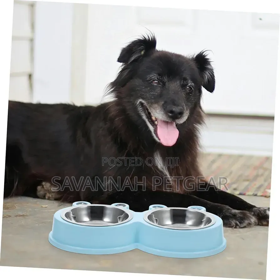 Stainless Steel Pet Dog Bowl Frog Design Non-Slip Bottom Food Water