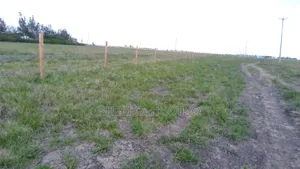 1/8 Acre Plots on Sale in Birika Town