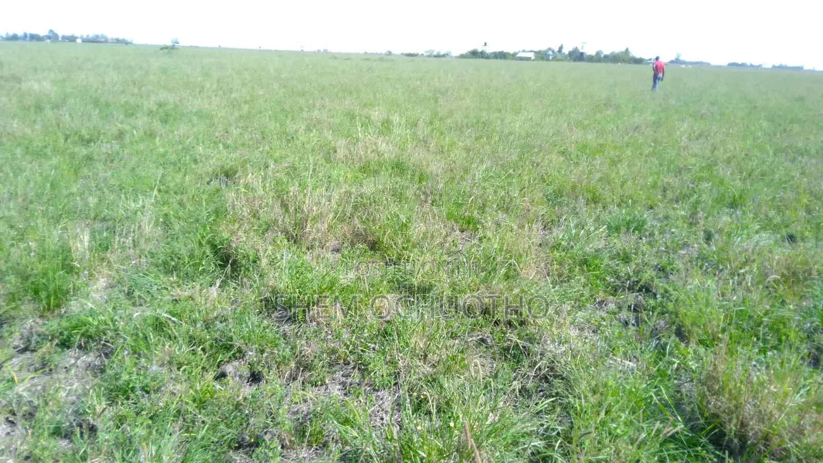 1/8 Acre Plots on Sale in Birika Town