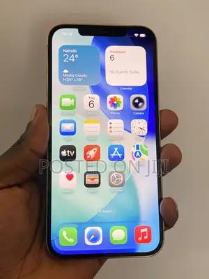 Apple iPhone 12 Pro Max 256 GB Gold