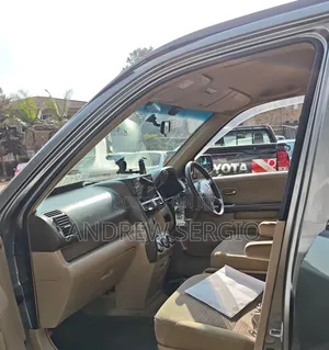 Honda CR-V 2007 Gray