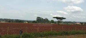 Kitale 1/4 Acre for Sale