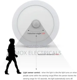 Ceiling Light Motion Sensor