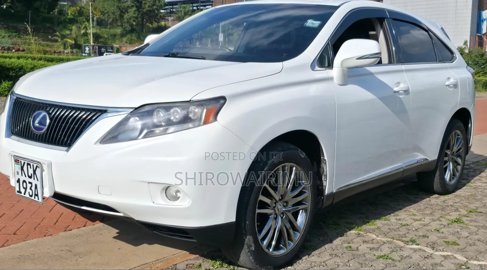 Lexus RX 2010 Off white