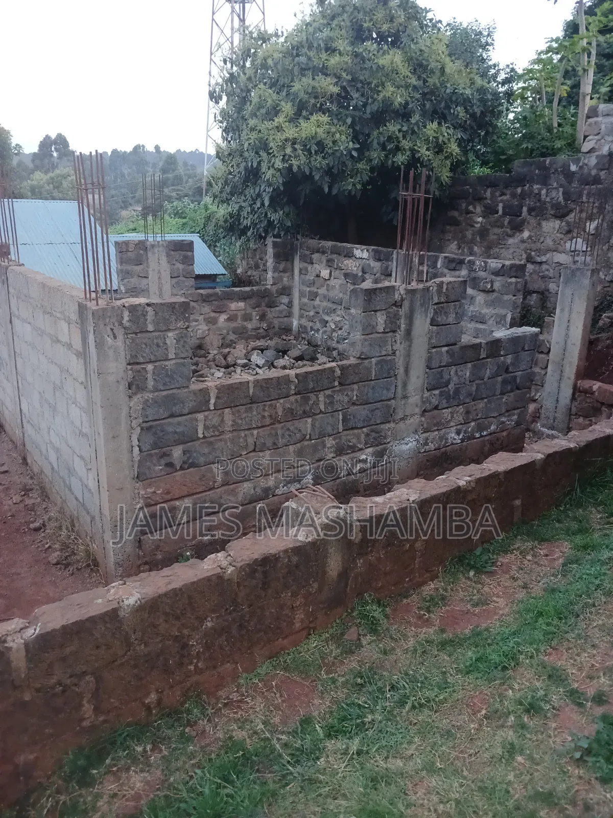 1/2 Arce Plot in Thogoto Kikuyu