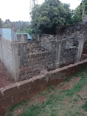1/2 Arce Plot in Thogoto Kikuyu