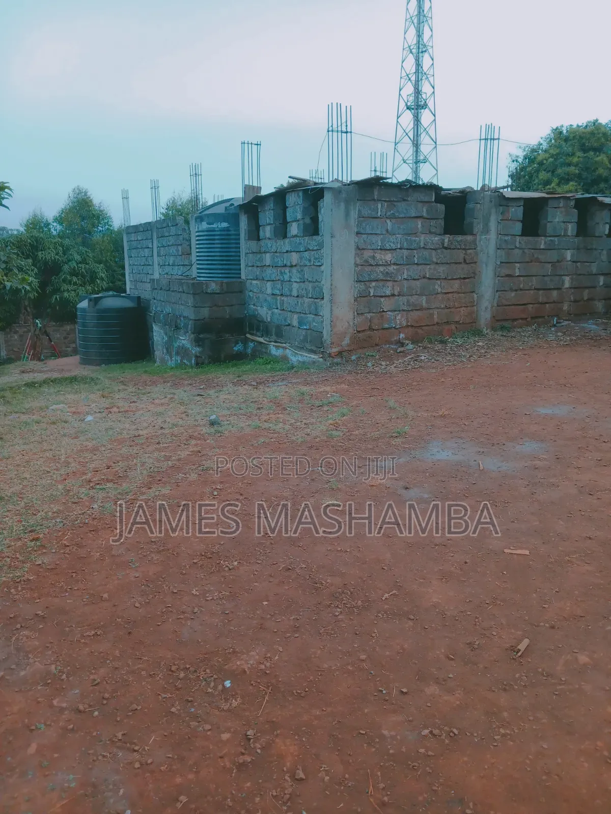1/2 Arce Plot in Thogoto Kikuyu
