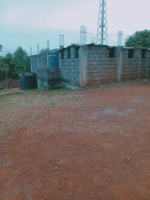 1/2 Arce Plot in Thogoto Kikuyu