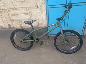 BMX Dirty Brand Size 20