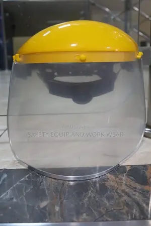 Face Shield Visor