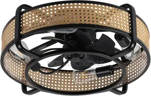 Ceiling Fan Light