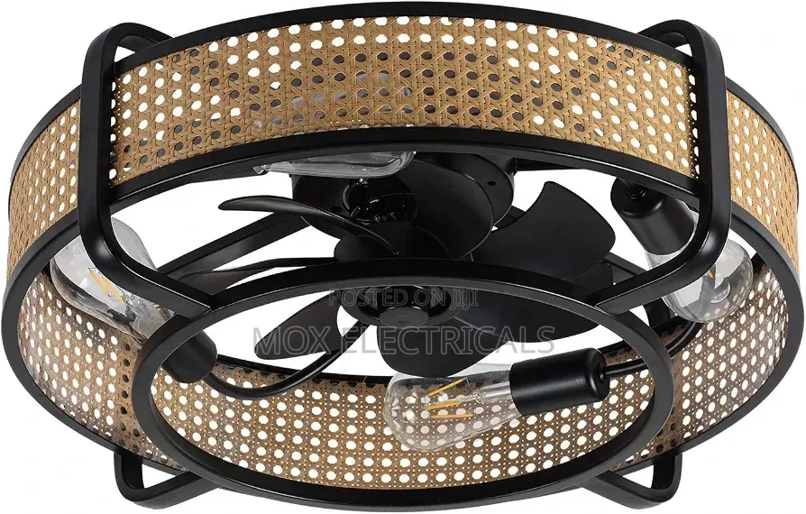 Ceiling Fan Light