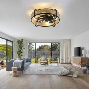 Ceiling Fan Light