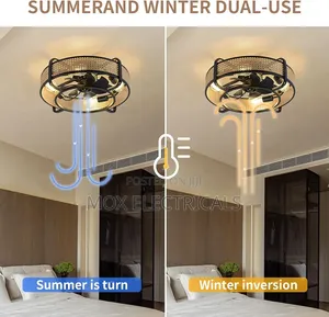 Ceiling Fan Light