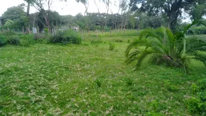 Half Acre Plots on Sale in Karen-Kephis