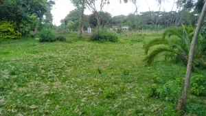 Half Acre Plots on Sale in Karen-Kephis