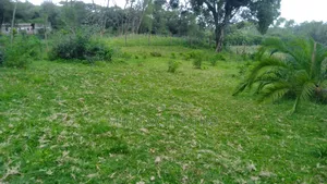 Half Acre Plots on Sale in Karen-Kephis