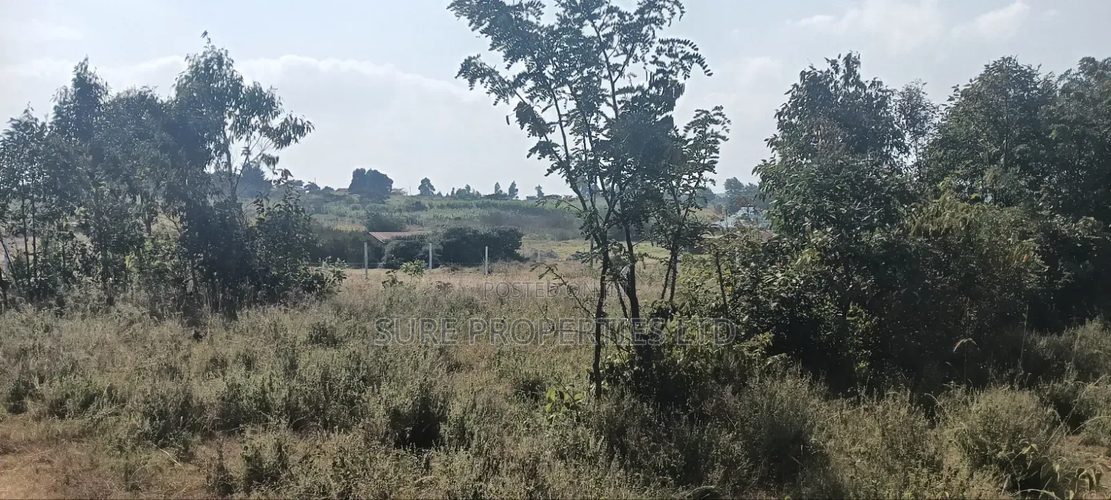 Kikuyu Kamangu 50x100 Prime Residential Plot