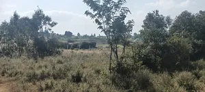 Kikuyu Kamangu 50x100 Prime Residential Plot