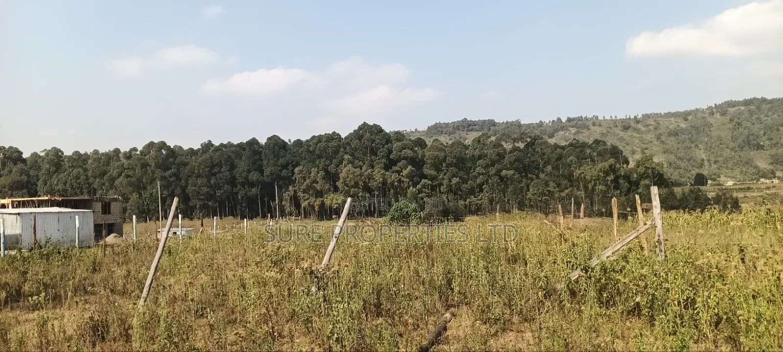 Kikuyu Kamangu 50x100 Prime Residential Plot