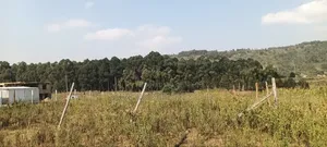 Kikuyu Kamangu 50x100 Prime Residential Plot