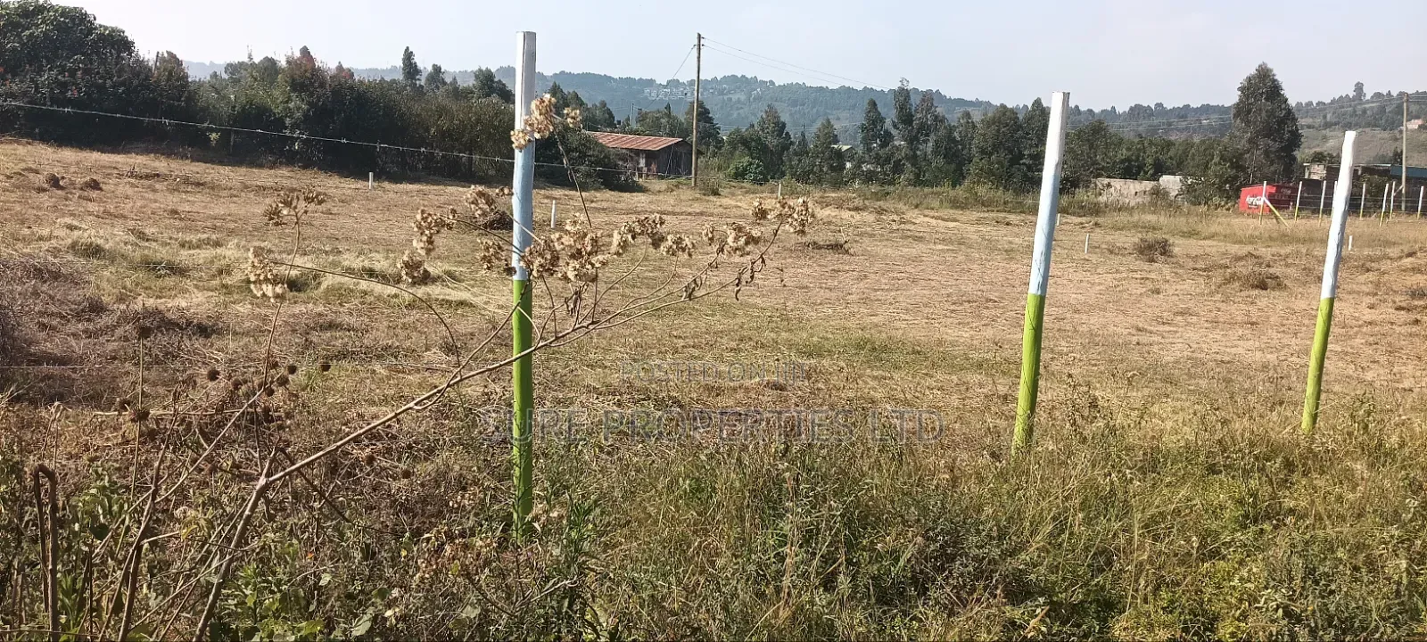 Kikuyu Kamangu 50x100 Prime Residential Plot