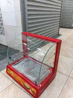 Electric Food Display Warmer – Double Plate