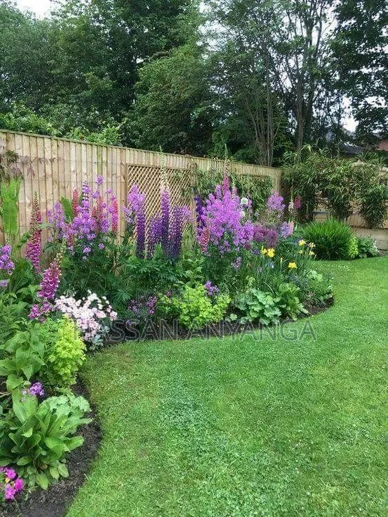 Plants and Flowers