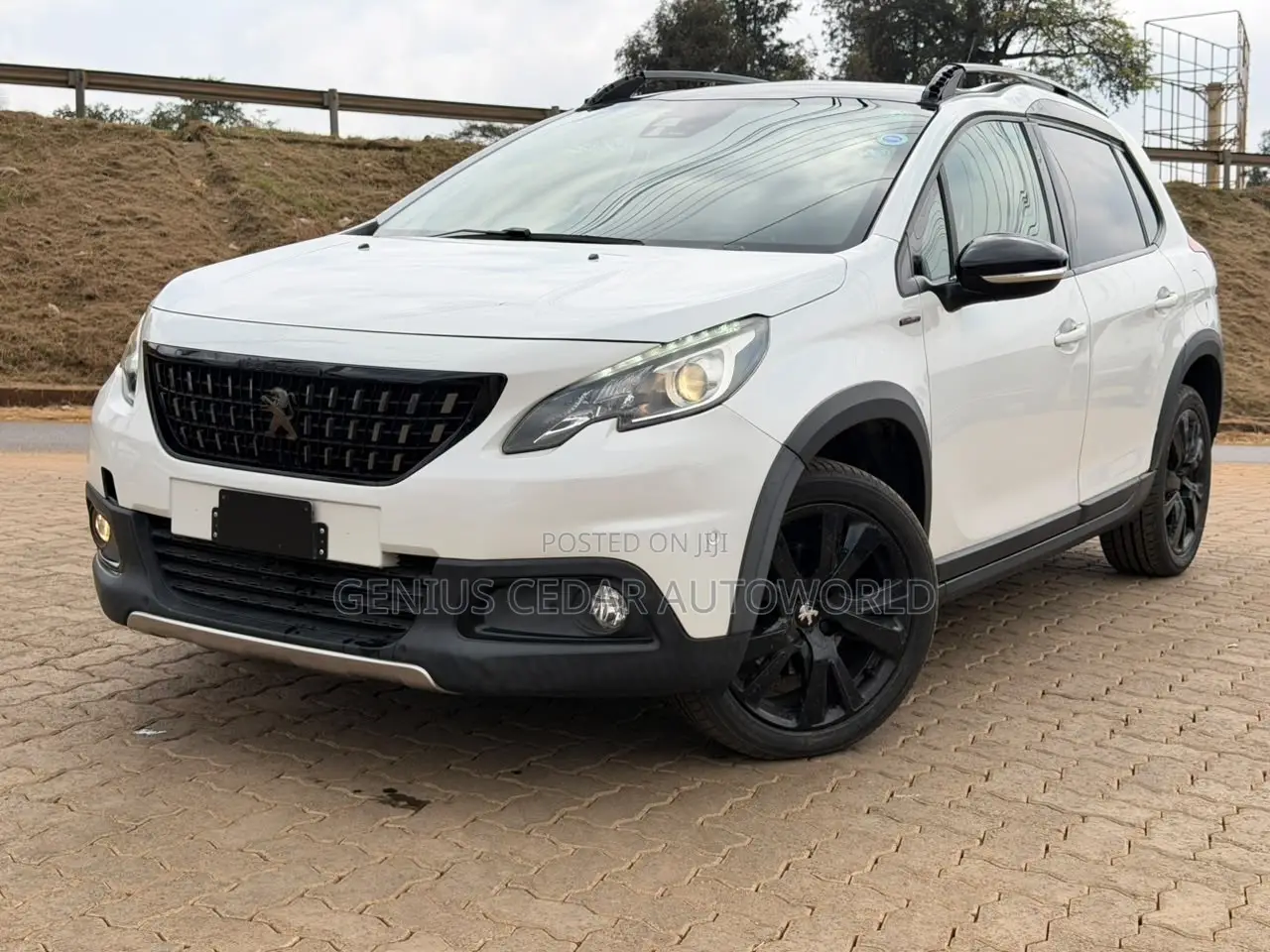 Peugeot 2008 2019
