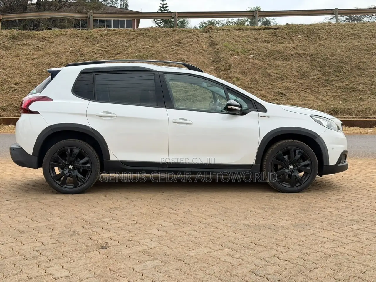 Peugeot 2008 2019