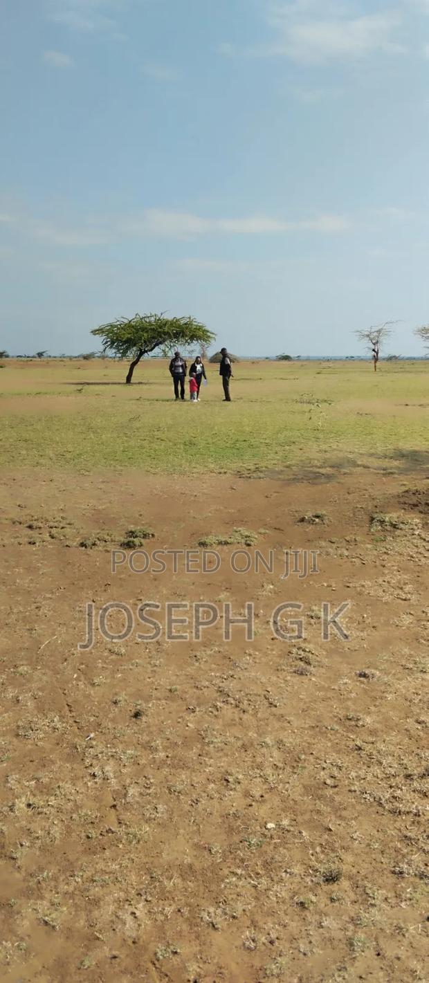 2 Acres of Land - main view