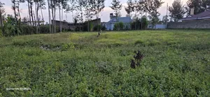 Prime Commercial Plot for Sale in Annex Eldoret Mti Moja