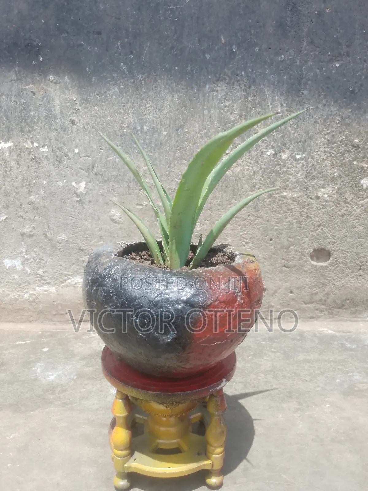 Plant Pots and Stand