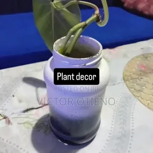 Plant Pots and Stand