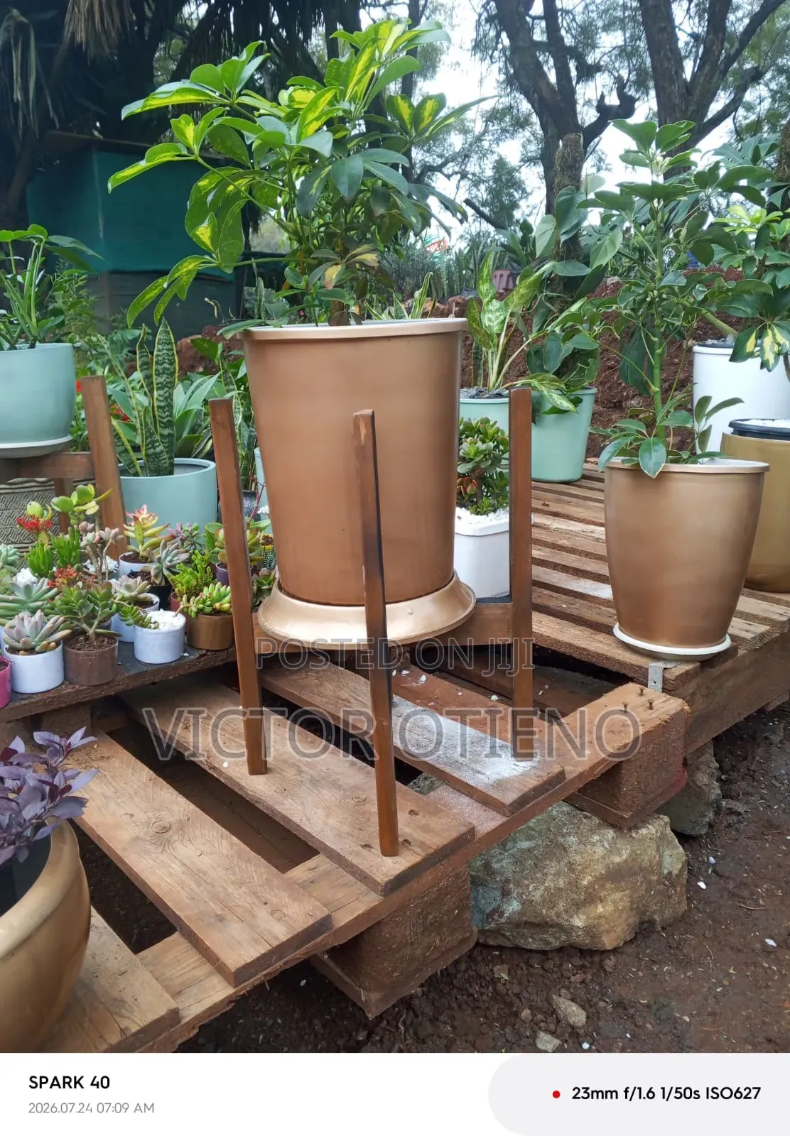 Plant Pots and Stand