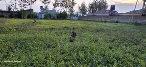Prime Commercial Plot for Sale in Annex Eldoret Mti Moja