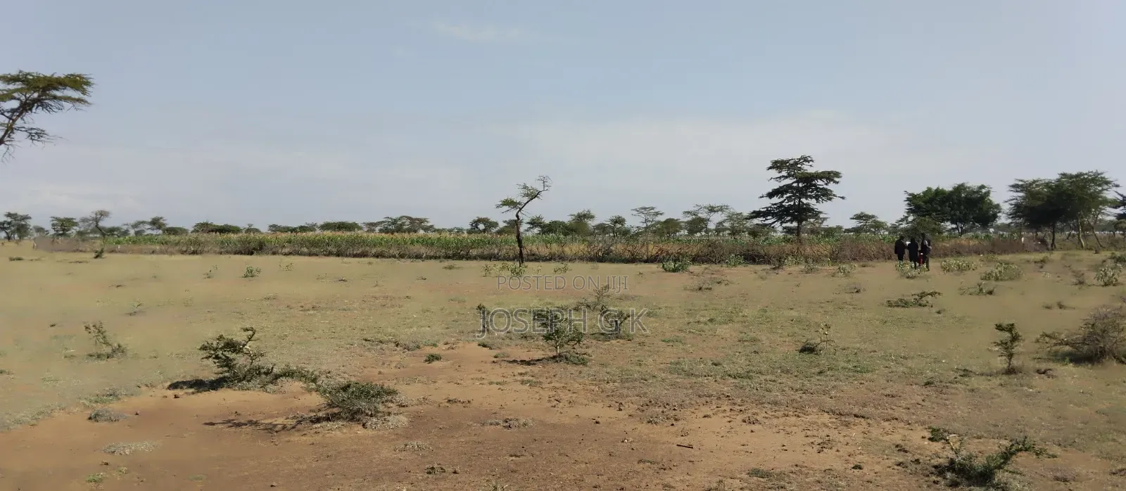 2 Acres of Land
