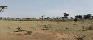2 Acres of Land