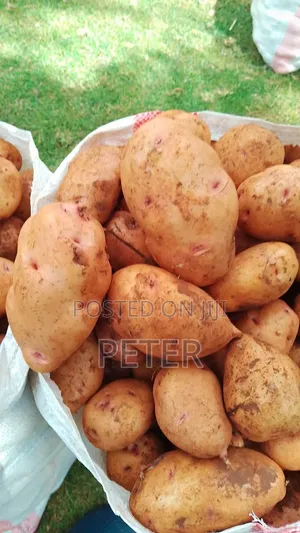 Potatoes in Affordable Price
