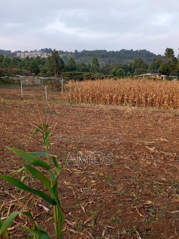 Very Prime 1⁄4ac Plots in Ndeiya Githarane Ideal for Residential Homes