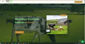 Selling Websites for Business